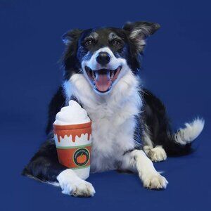 BARK Whipped Pupkin Latte Plush Pet Toy - NIP